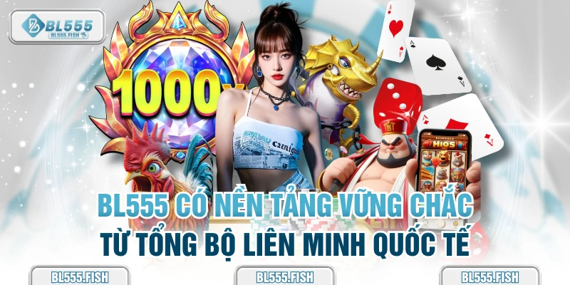 bl555 có nền tảng vững chắc