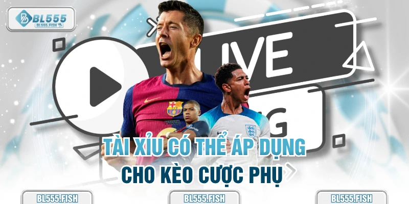 Tài xỉu có thể áp dụng cho tất cả kèo cược bóng đá 